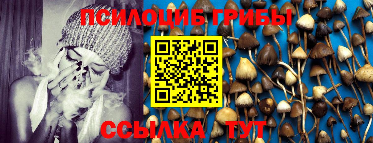 Alpha-PVP СК кристаллы  Гашиш  КОКАИН  Конопля  Гашиш  Вход с VPN  Меф  Продажа наркотиков  Марихуана  Димитровград  Мефедрон  