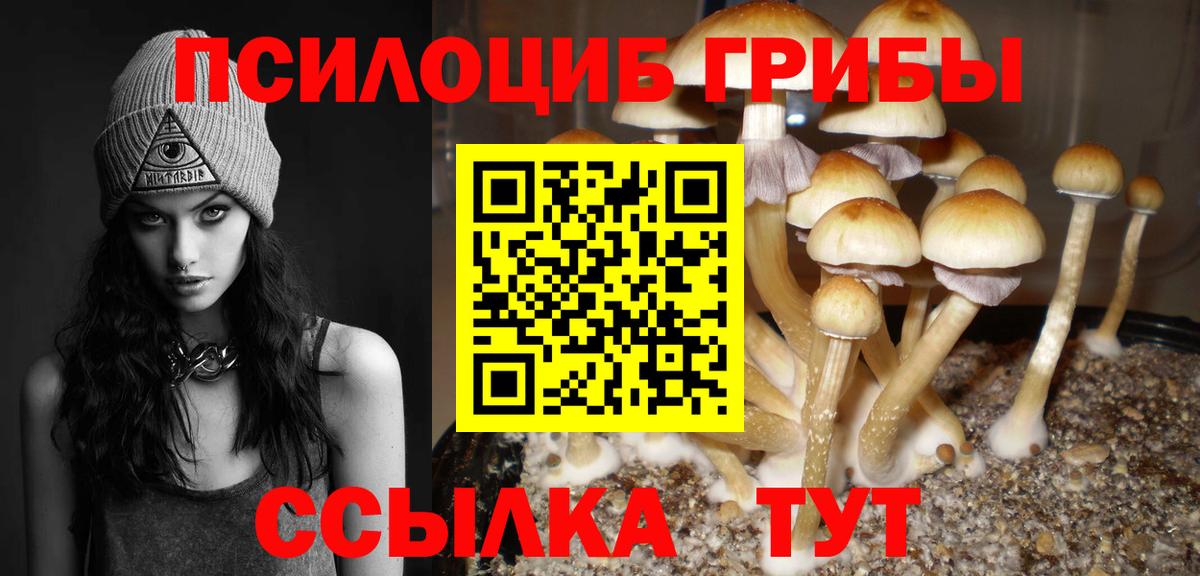 Димитровград  Галлюциногенные грибы Magic Shrooms  как найти   Вход с VPN 